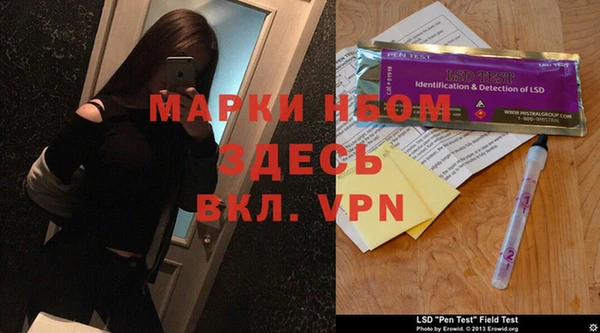 шишки Абаза