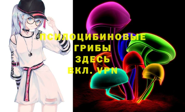 мдпв Абдулино