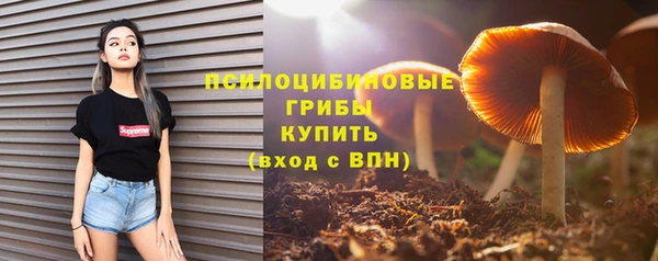 гидропоника Алексин