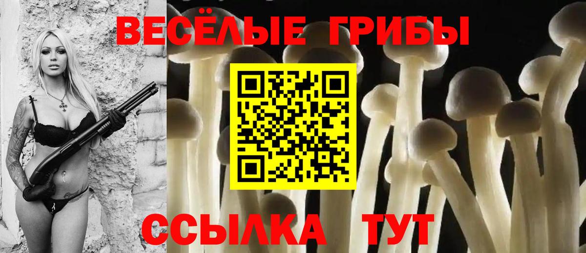 Псилоцибиновые грибы мицелий Ишимбай
