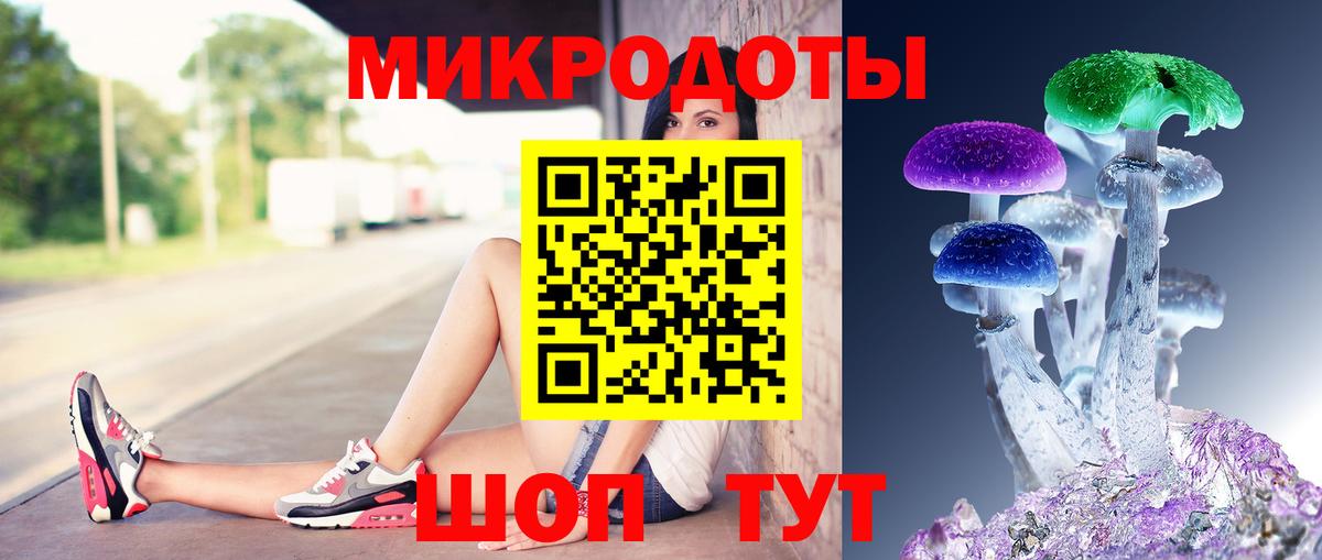 Псилоцибиновые грибы Psilocybine cubensis  Ишимбай 